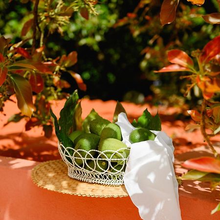 Homeforguest Rural House With Garden El Laurel Tacoronte Exterior foto